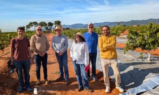 IVIA, Imaflex y Bagu en campos de cítricos en Castellón / agroautentico.com