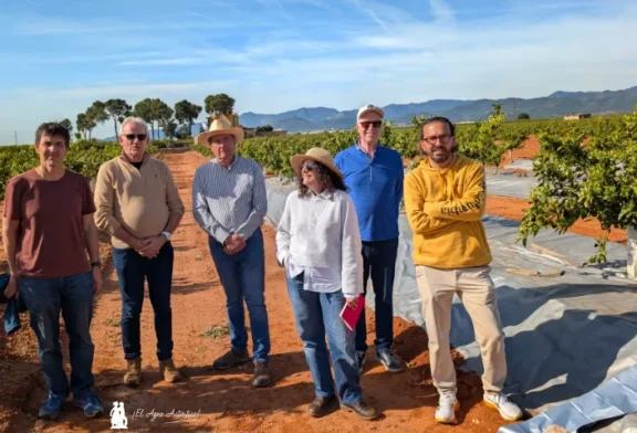 La lucha contra plagas en cítricos empieza en el suelo con los plásticos metalizados de Imaflex