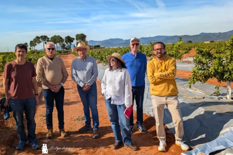 La lucha contra plagas en cítricos empieza en el suelo con los plásticos metalizados de Imaflex