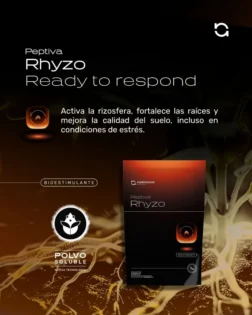 Agronova Biotech lanza Peptiva Rhyzo, bioestimulante de aplicación edáfica de nueva generación