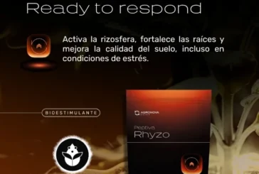 Peptiva Rhyzo es un nuevo bioestimulante con dos cepas de Bacillus para el inicio del cultivo