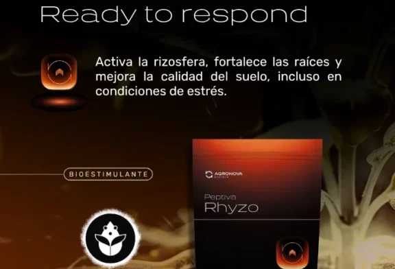 Peptiva Rhyzo es un nuevo bioestimulante con dos cepas de Bacillus para el inicio del cultivo