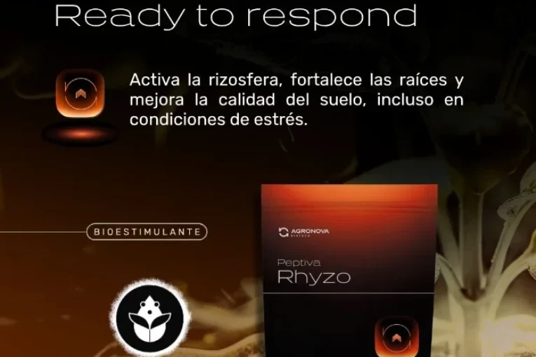 Peptiva Rhyzo es un nuevo bioestimulante con dos cepas de Bacillus para el inicio del cultivo