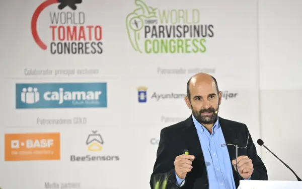 Juan Miguel Agüero, responsable de Desarrollo de Producto en el Cultivo de Tomate en BASF Nunhems en Iberia / agroautentico.com