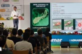 Koppert describe nuevas estrategias para un control biológico eficaz de Thrips parvispinus