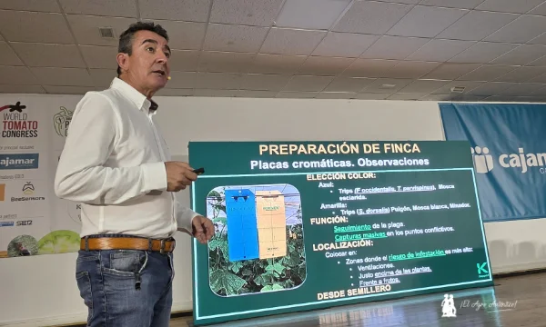 el ácaro depredador más eficaz frente a Thrips Parvispinus 9
