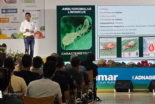Koppert describe nuevas estrategias para un control biológico eficaz de Thrips parvispinus