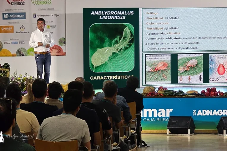 Koppert describe nuevas estrategias para un control biológico eficaz de Thrips parvispinus