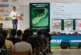 Koppert describe nuevas estrategias para un control biológico eficaz de Thrips parvispinus