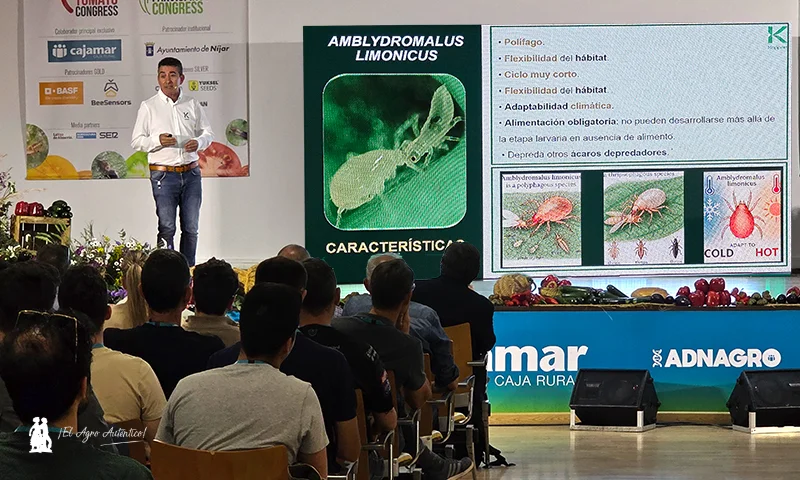 Koppert describe nuevas estrategias para un control biológico eficaz de Thrips parvispinus
