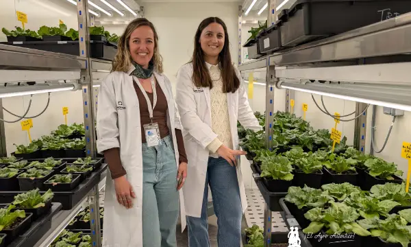 Marina Abellán y Michela Tamioso en el fitotron de biofertilización en Agronova Biotech / agroautentico.com