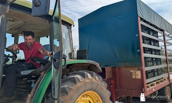 Pepe, agricultor de Benihort / agroautentico.com