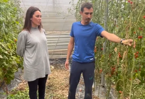 Plantas menos sensibles a rugoso y fusarium con la vía fisiológica desarrollada por Ecoculture