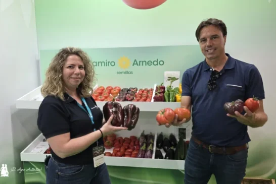 Ramiro Arnedo vuelve a Expolevante con novedades con resistencia a rugoso