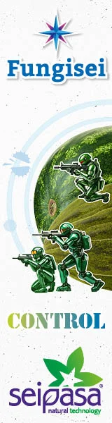 RASCACIELOS SEIPASA 2026