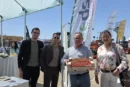 La experiencia de Sicilia en tomate se enseña en el campo de Níjar