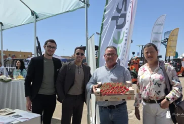La experiencia de Sicilia en tomate se enseña en el campo de Níjar
