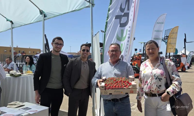 La experiencia de Sicilia en tomate se enseña en el campo de Níjar