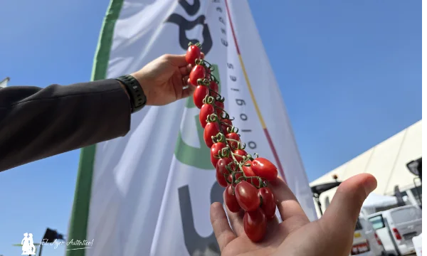 Seeds Technologies con Fraimher Agro. Sicilia y Níjar unidas en Expolevante 2026 / agroautentico.com