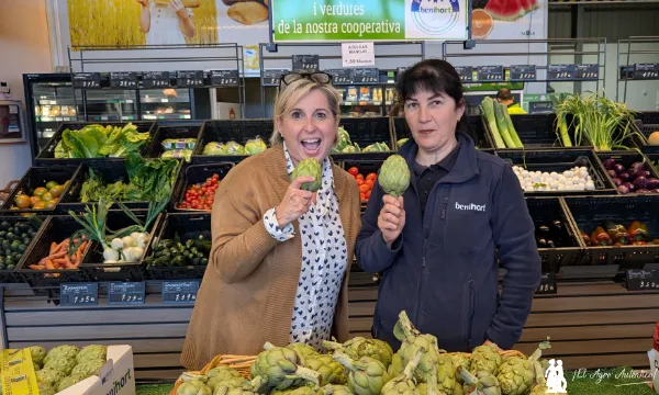 Tienda de Benihort con alcachofas DOP / agroautentico.com