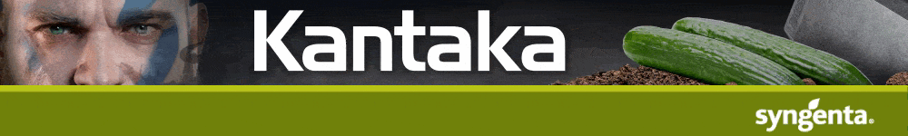 TOP BANNER SYNGENTA PEPINO
