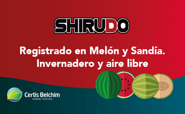 SIDE BAR 2 CERTIS MAYO