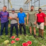 Colla de Unica cortadores de sandías / agroautentico.com