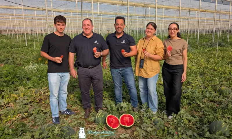 Ecoinver y Anecoop sandía ultrafirme / agroautentico.com