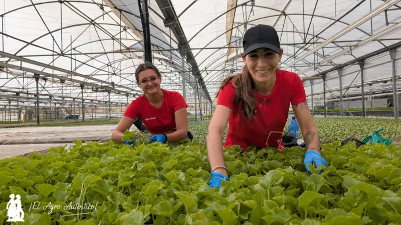 El Plantel Semilleros de La Mojonera / agroautentico.com