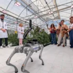El nuevo Centro Tecnológico de Syngenta reducirá los plazos en mejora genética y reforzará la seguridad alimentaria 2