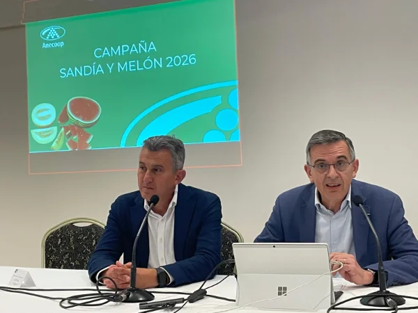 Anecoop inicia la campaña de la Sandía Bouquet con la previsión de comercializar 120.000 toneladas 2