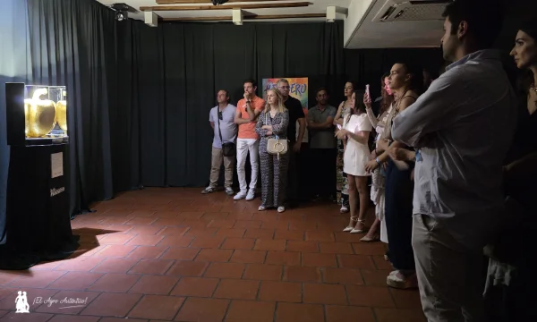 Hazera Museum: el invernadero como sala de arte y el consumidor como espectador 4