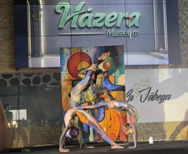 Hazera Museum: el invernadero como sala de arte y el consumidor como espectador 12