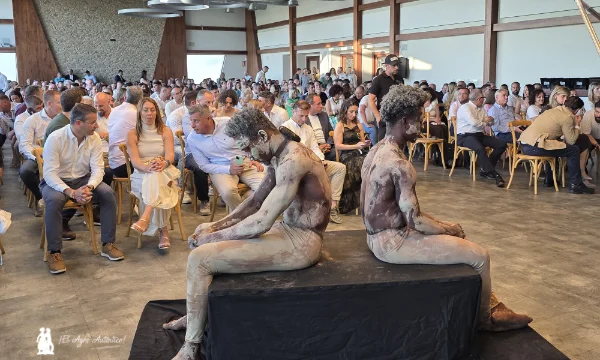 Hazera Museum: el invernadero como sala de arte y el consumidor como espectador 9