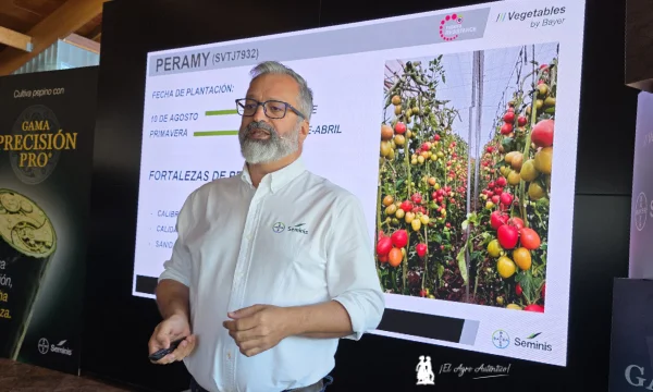Juan Miguel Robles, técnico de desarrollo de tomate / agroautentico.com