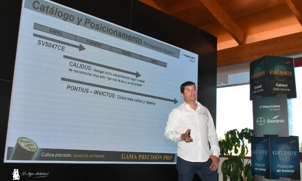 Paco Tomillero, técnico de desarrollo en pepino / agroautentico.com