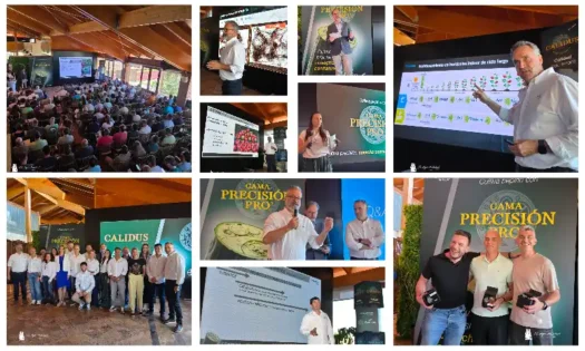 Bayer Seminis gana el set: pepino, tomate, portainjertos y biológicos