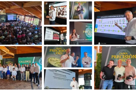 Bayer Seminis gana el set: pepino, tomate, portainjertos y biológicos