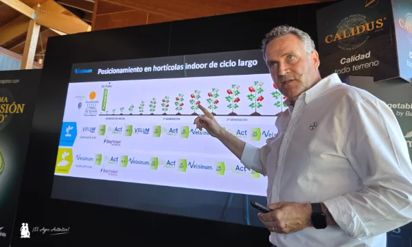 Diego Hernández, responsable de agronomía y digital para cultivos de invernadero en Bayer / agroautentico.com