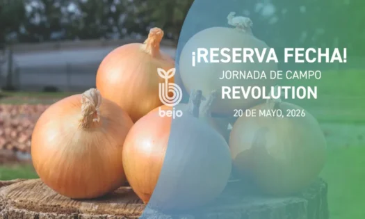 Día 20 de mayo. Jornada de cebolla de Bejo en Antequera