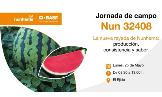 Día 25 de mayo. Jornada de campo de sandía de Nunhems