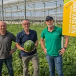 Kais Bishouty, Juan Pedro Pérez y José Luis López con la novedad 32408 / agroautentico.com
