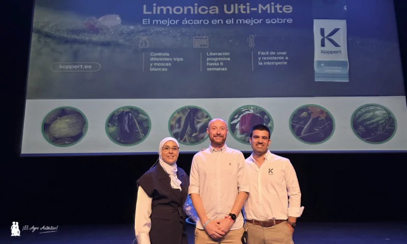 Koppert presenta Limonica Ulti-Mite, el mejor ácaro depredador contra trips y mosca blanca
