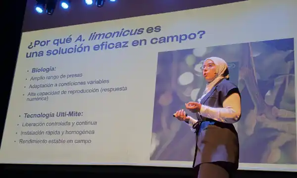 Koppert presenta Limonica Ulti-Mite, el mejor ácaro depredador contra trips y mosca blanca en el mejor sobre 3