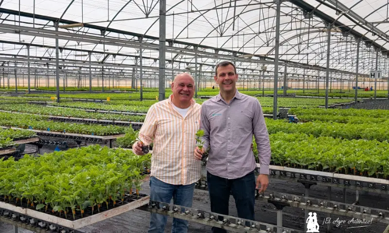 Manuel y Víctor Manuel Escudero, padre e hijo, relevo generacional, en el centro de La Mojonera / agroautentico.com