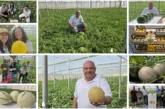 Water & Melon Show de Semillas Fitó se consolida como el mayor evento de primavera en Almería