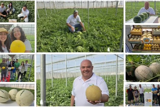 Water & Melon Show de Semillas Fitó se consolida como el mayor evento de primavera en Almería