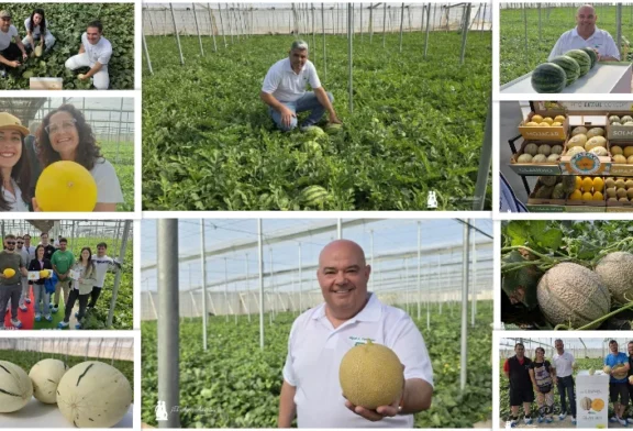 Water & Melon Show de Semillas Fitó se consolida como el mayor evento de primavera en Almería