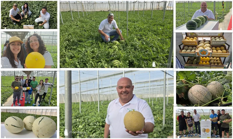 Water & Melon Show de Semillas Fitó se consolida como el mayor evento de primavera en Almería