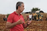 InVigo, el producto estrella de Brandt obtiene el registro europeo como bioestimulante